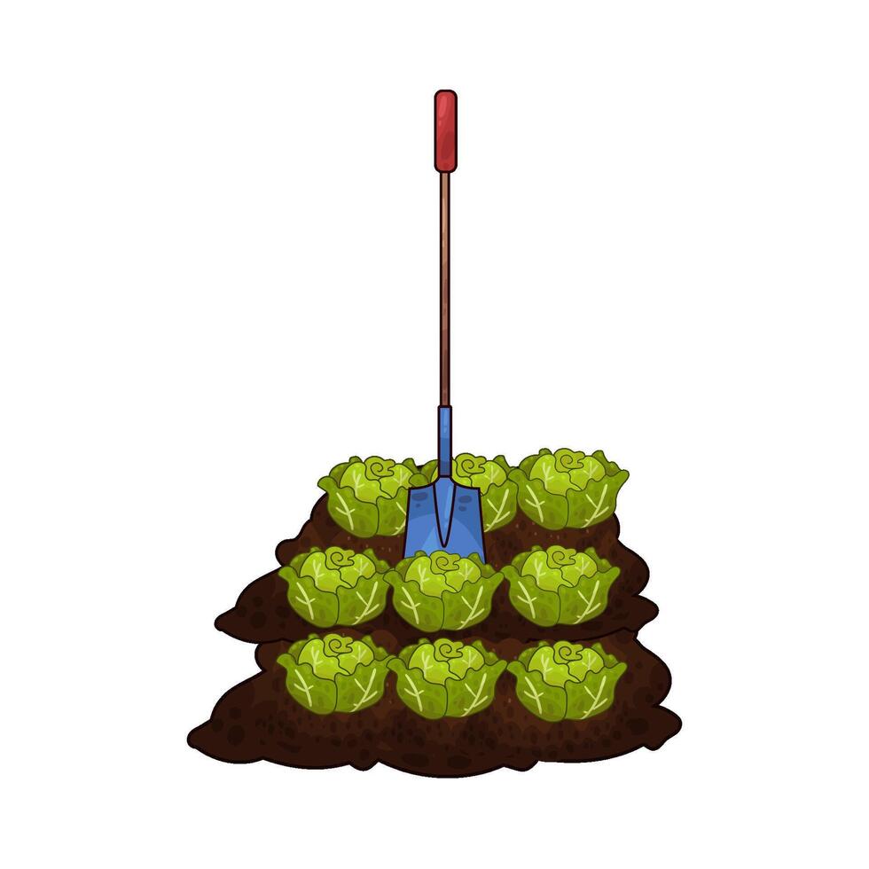 Illustration of cabbage and shovel vector