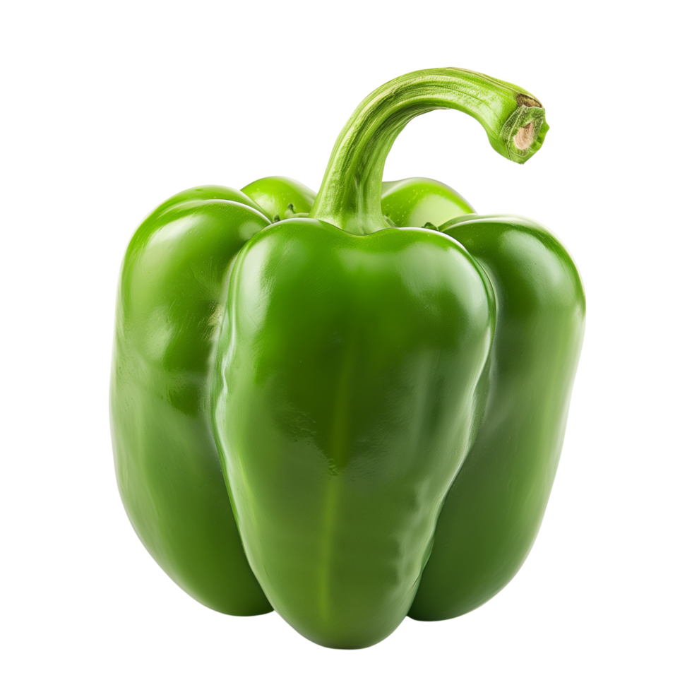 A fresh green pepper isolated on a transparent background png