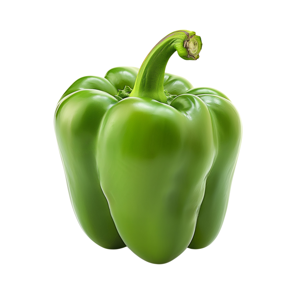 A fresh green pepper isolated on a transparent background png