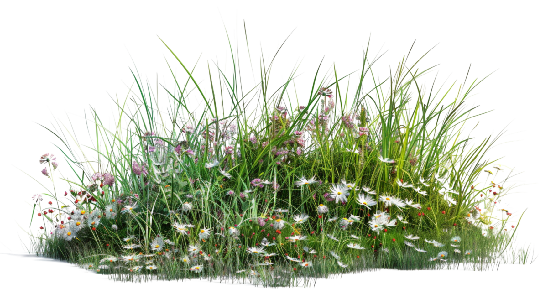 A lush dense bush composed of intricate grass and delicate wildflowers on a transparent background png