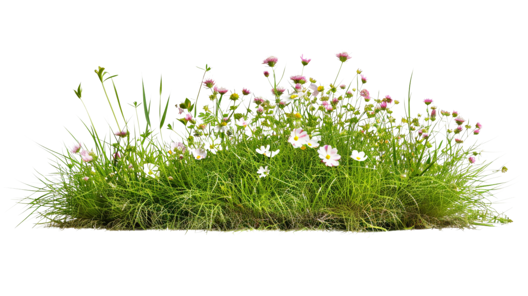 A lush dense bush composed of intricate grass and delicate wildflowers on a transparent background png