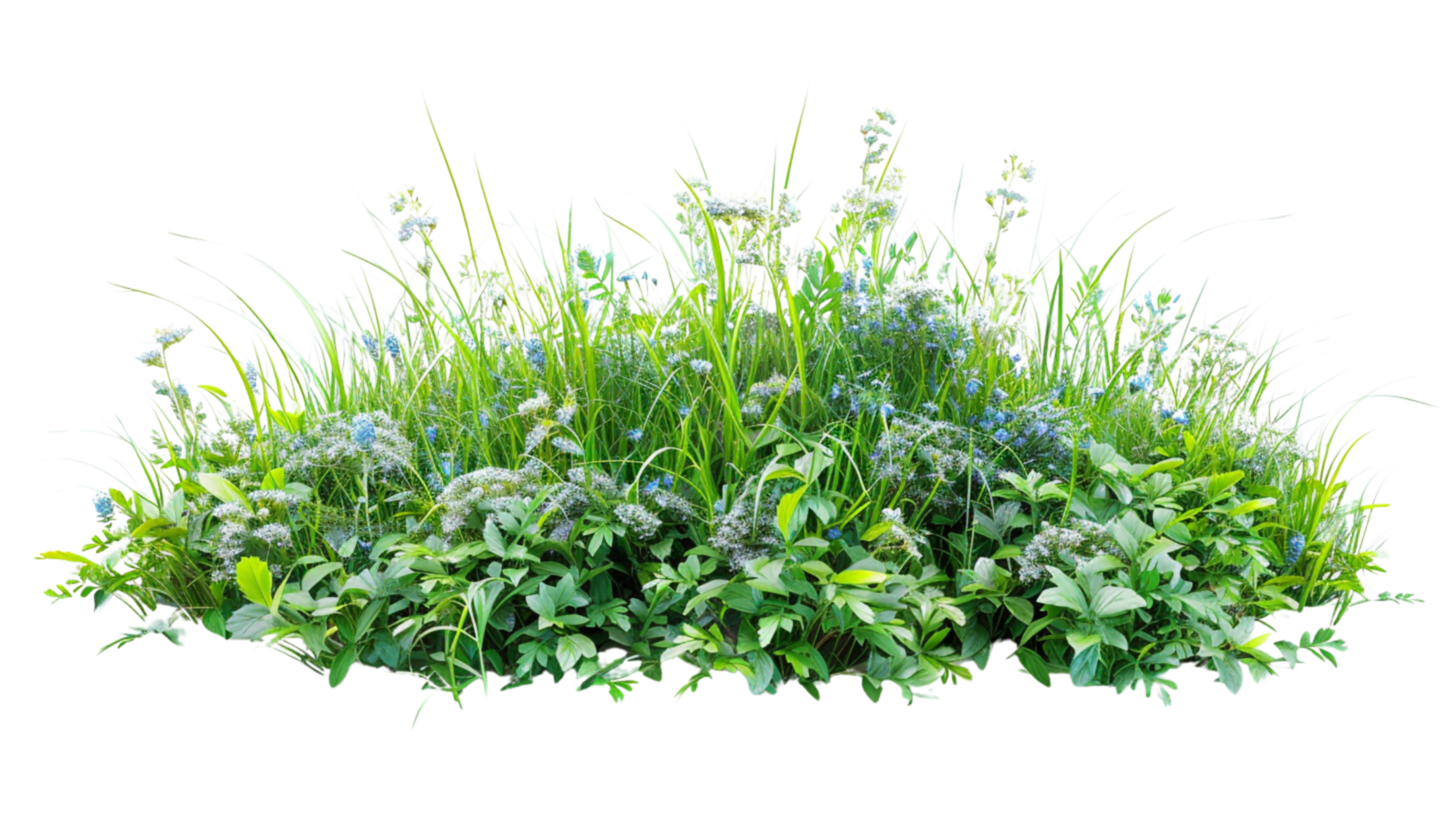 A lush dense bush composed of intricate grass and delicate wildflowers on a transparent background png
