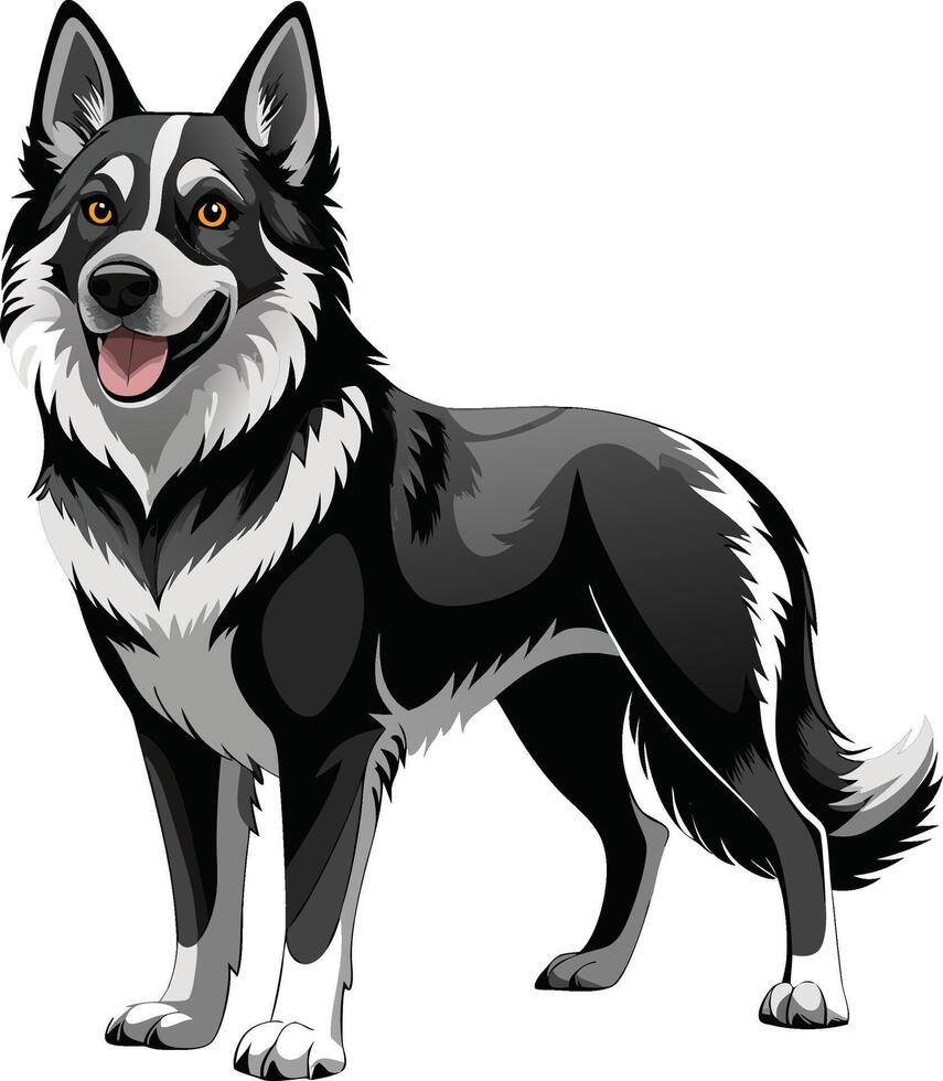 Cute Siberian Husky Dog vector