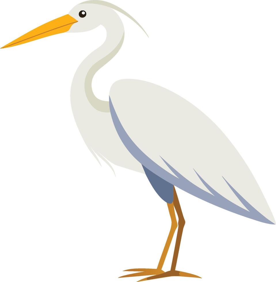 Egret Bird Illustration vector