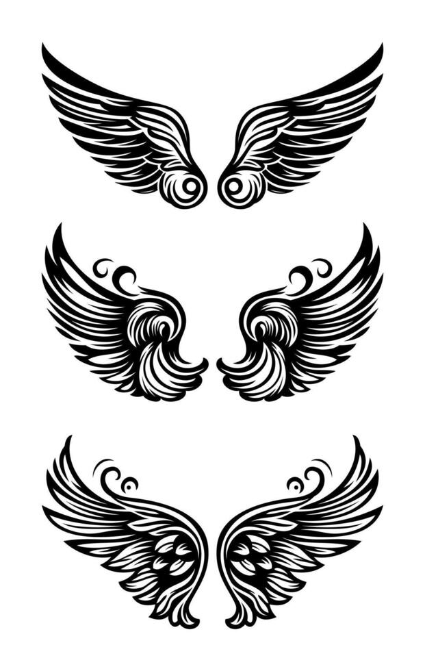Sketch angel wings. Angel feather wing illustration. vector