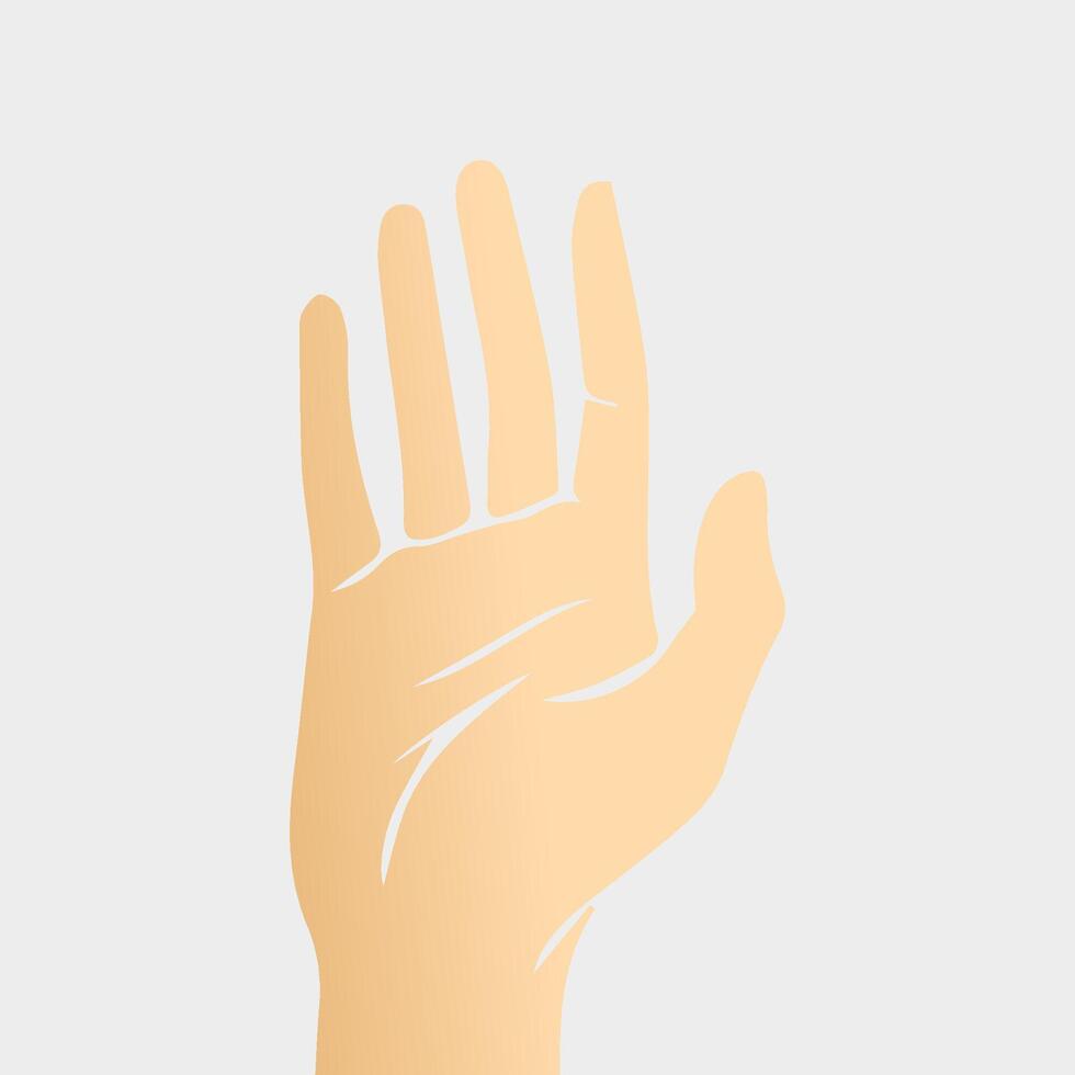 Hands poses. Female hand holding and pointing gestures, fingers, Cartoon human palms and wrist vector