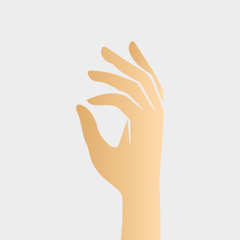Hands poses. Female hand holding and pointing gestures, fingers, Cartoon human palms and wrist vector