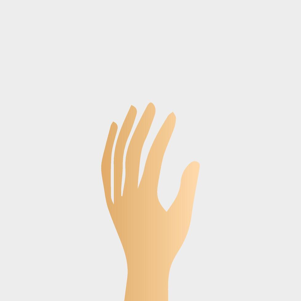 Hands poses. Female hand holding and pointing gestures, fingers, Cartoon human palms and wrist vector