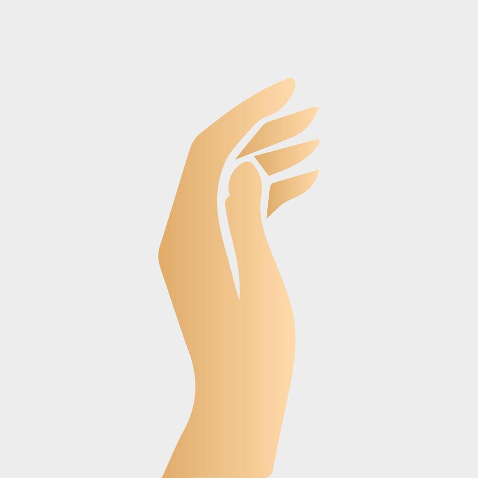 Hands poses. Female hand holding and pointing gestures, fingers, Cartoon human palms and wrist vector