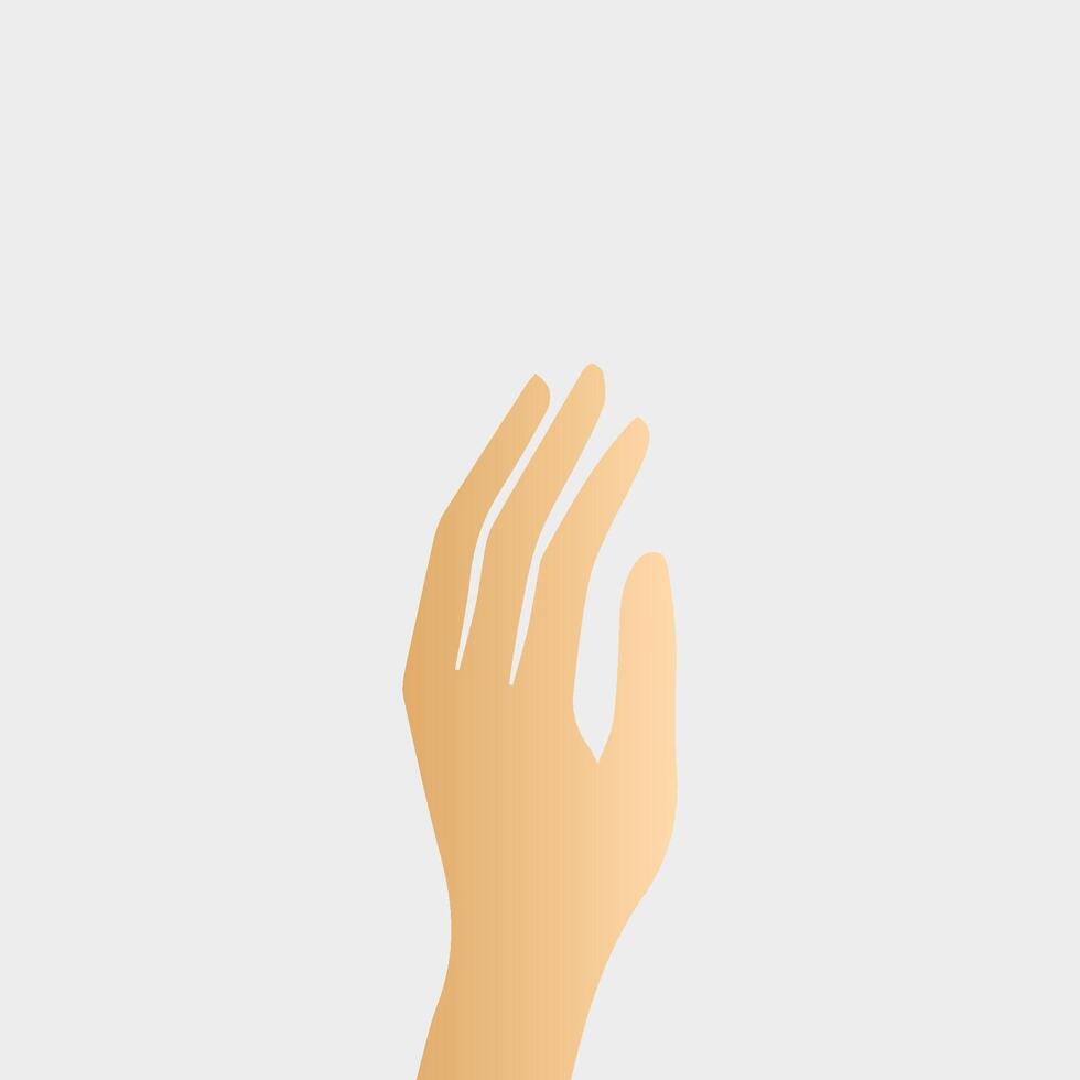 Hands poses. Female hand holding and pointing gestures, fingers, Cartoon human palms and wrist vector