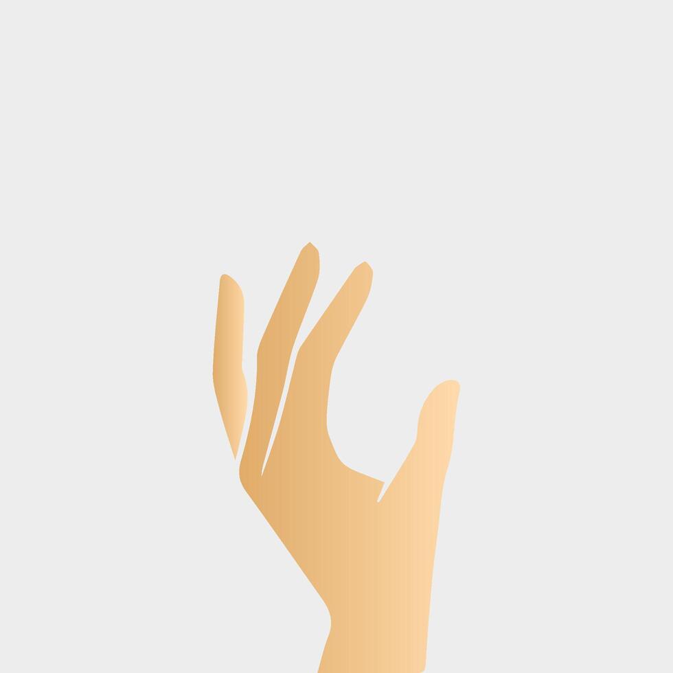 Hands poses. Female hand holding and pointing gestures, fingers, Cartoon human palms and wrist vector