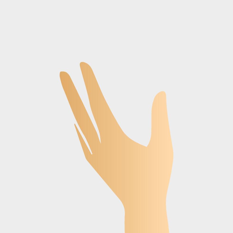 Hands poses. Female hand holding and pointing gestures, fingers, Cartoon human palms and wrist vector