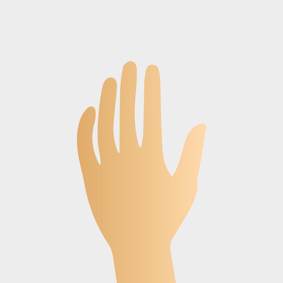 Hands poses. Female hand holding and pointing gestures, fingers, Cartoon human palms and wrist vector