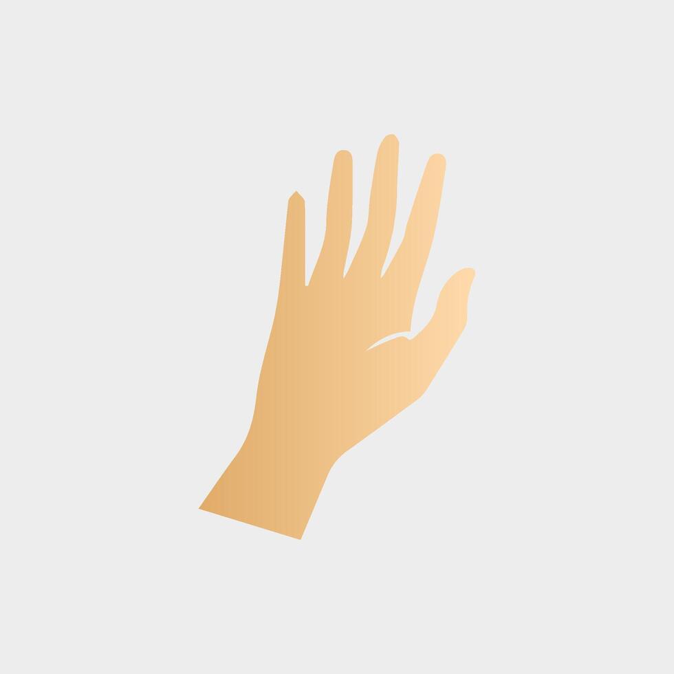 Hands poses. Female hand holding and pointing gestures, fingers, Cartoon human palms and wrist vector