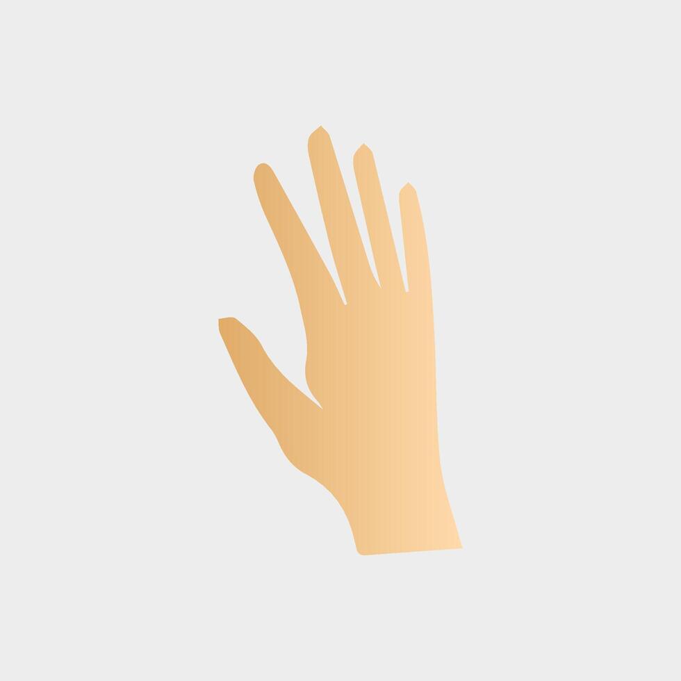 Hands poses. Female hand holding and pointing gestures, fingers, Cartoon human palms and wrist vector