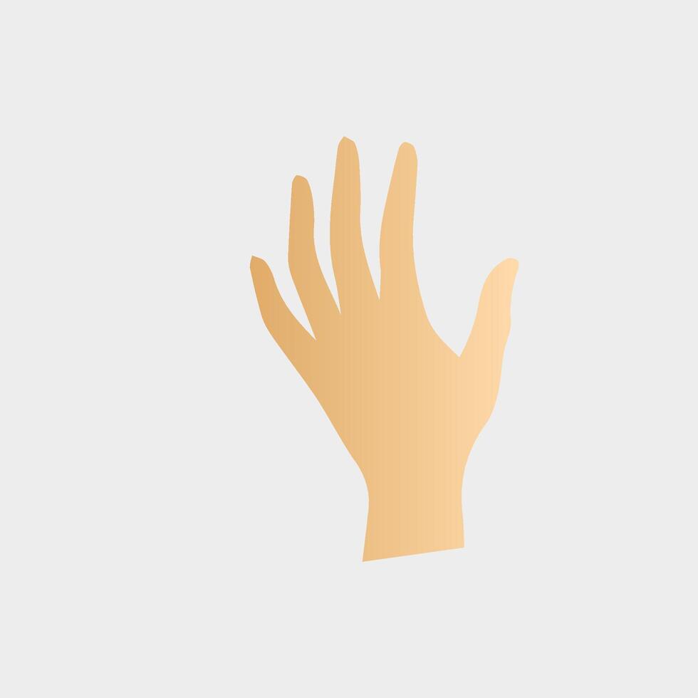 Hands poses. Female hand holding and pointing gestures, fingers, Cartoon human palms and wrist vector