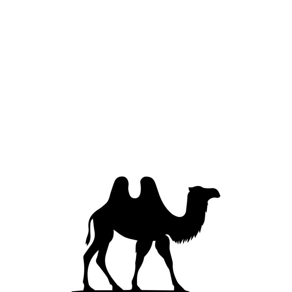 Camel Silhouettes illustration isolated on white background. vector