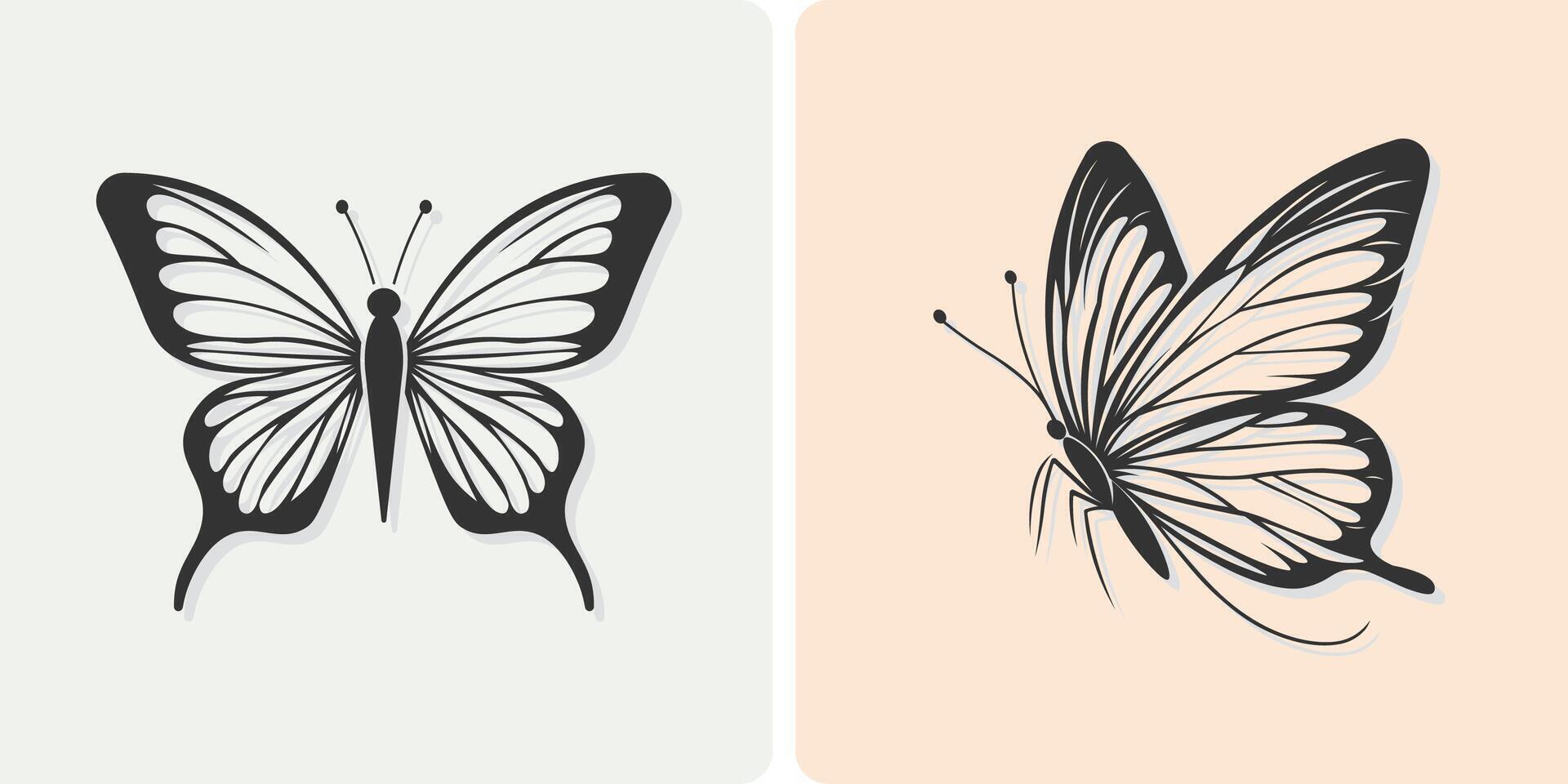 Butterfly Insects Beautiful Sketch Illustration. vector