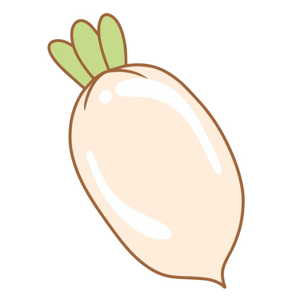 Illustration of cute radish is isolated on the white background vector