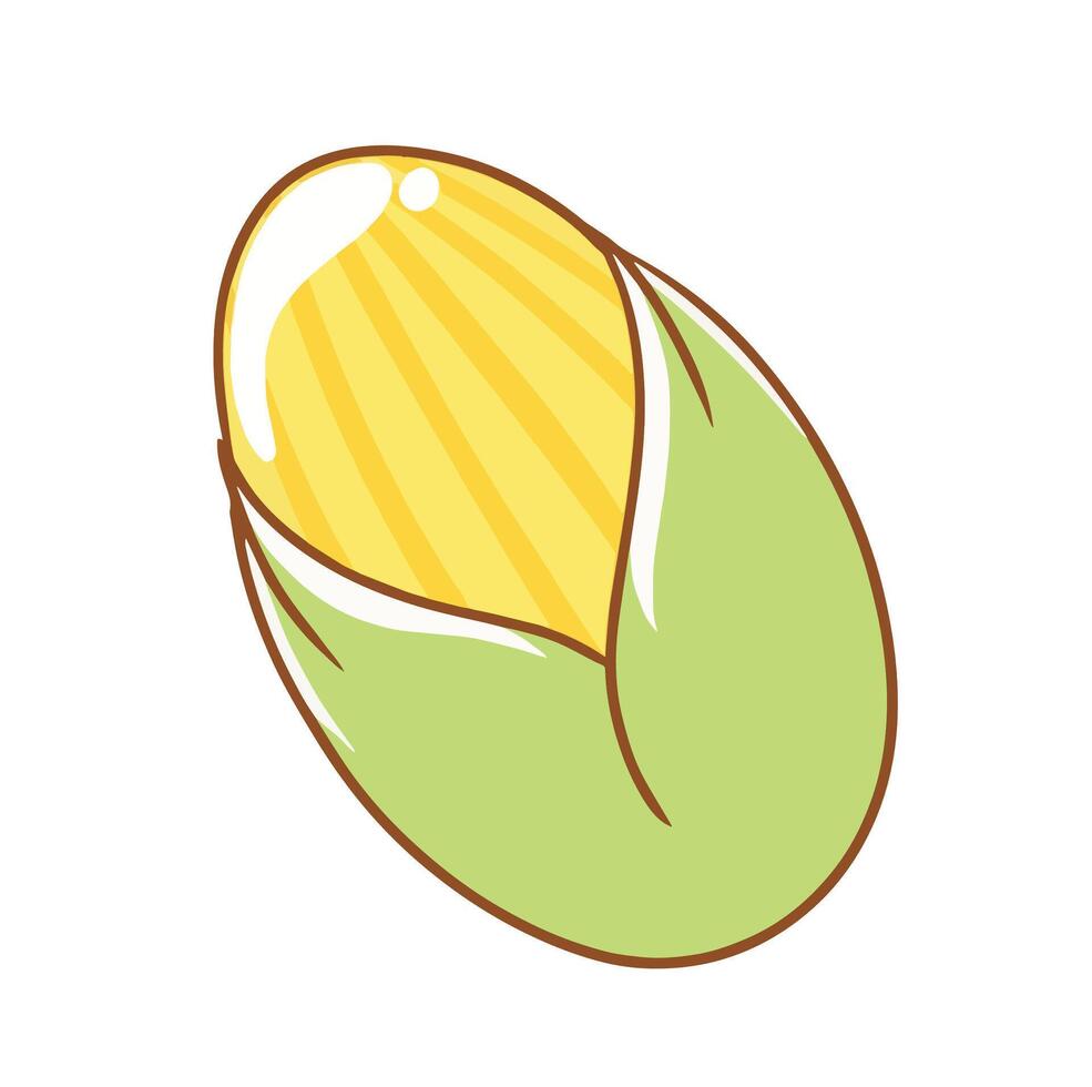 Illustration of cute corn is isolated on the white background vector