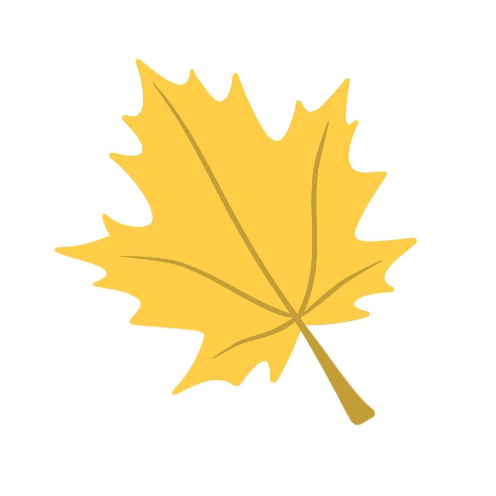 Illustration of autumn maple leaf is isolated on the white background vector