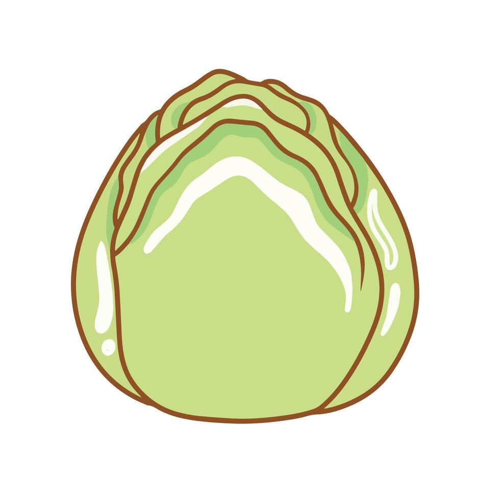 Illustration of cute cabbage is isolated on the white background vector