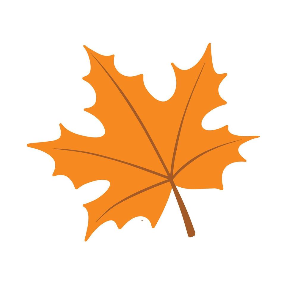 Illustration of autumn maple leaf is isolated on the white background vector
