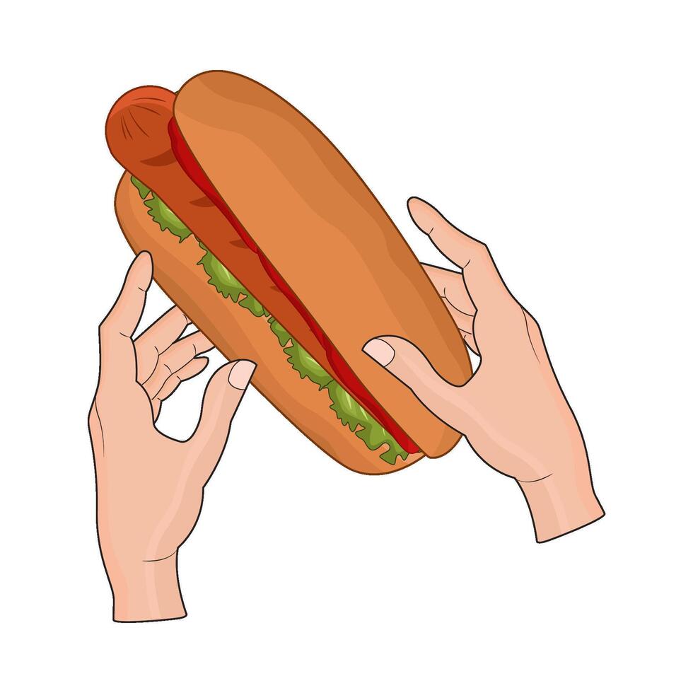 illustration of hotdog vector