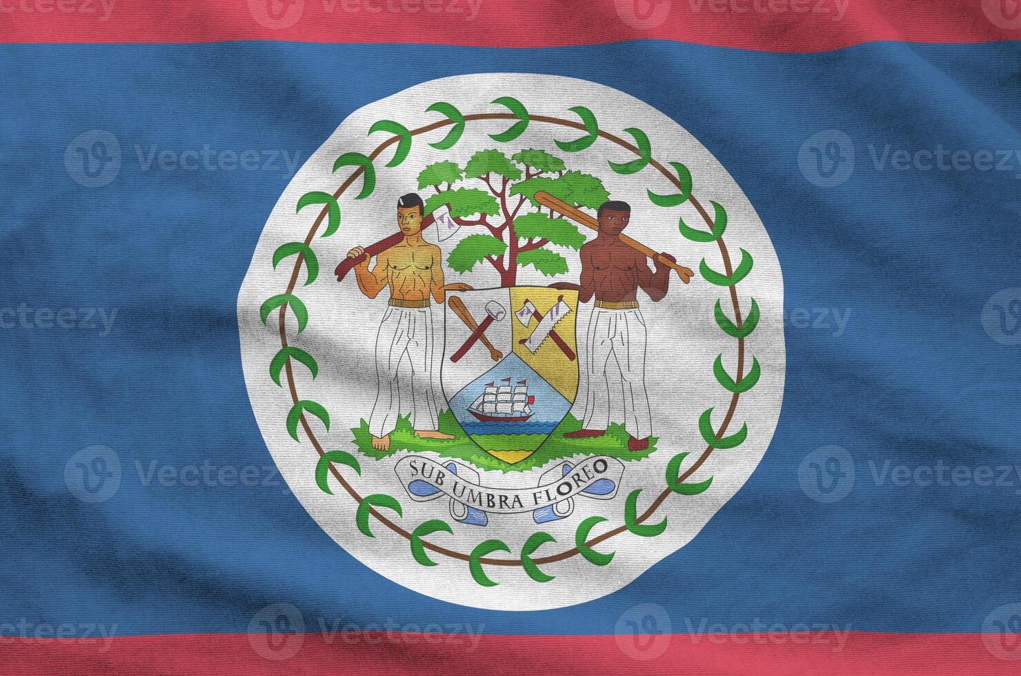 Belize flag depicted on folded wavy fabric of old cloth photo