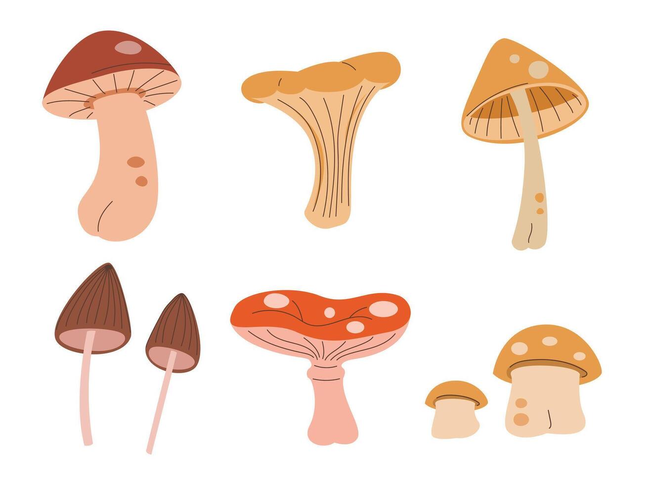 Autumn fall forest fungus. Mushrooms set vector