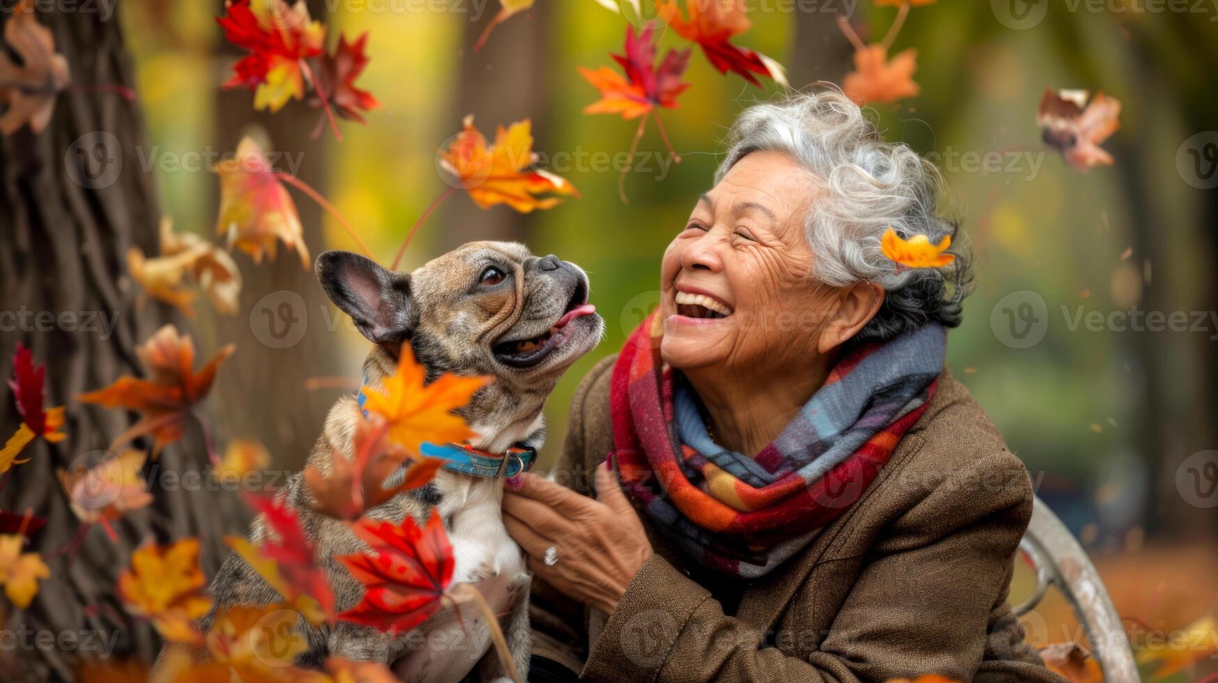 Elderly Asian woman with a bulldog dog enjoying autumn leaves in a park. Concept of senior activities, pet companionship, outdoor fun, seasonal joy photo