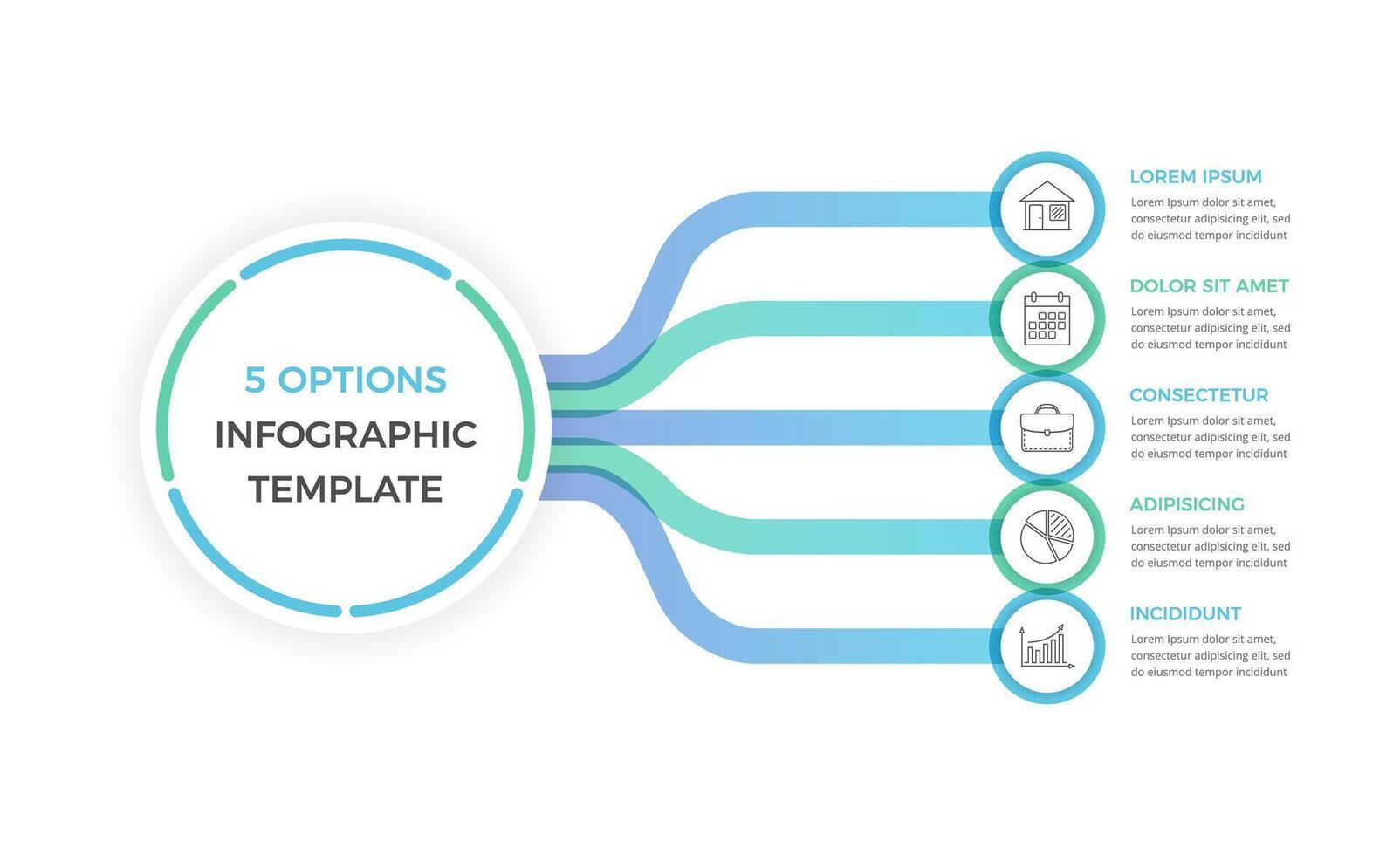 Infographic Template with 5 Options vector