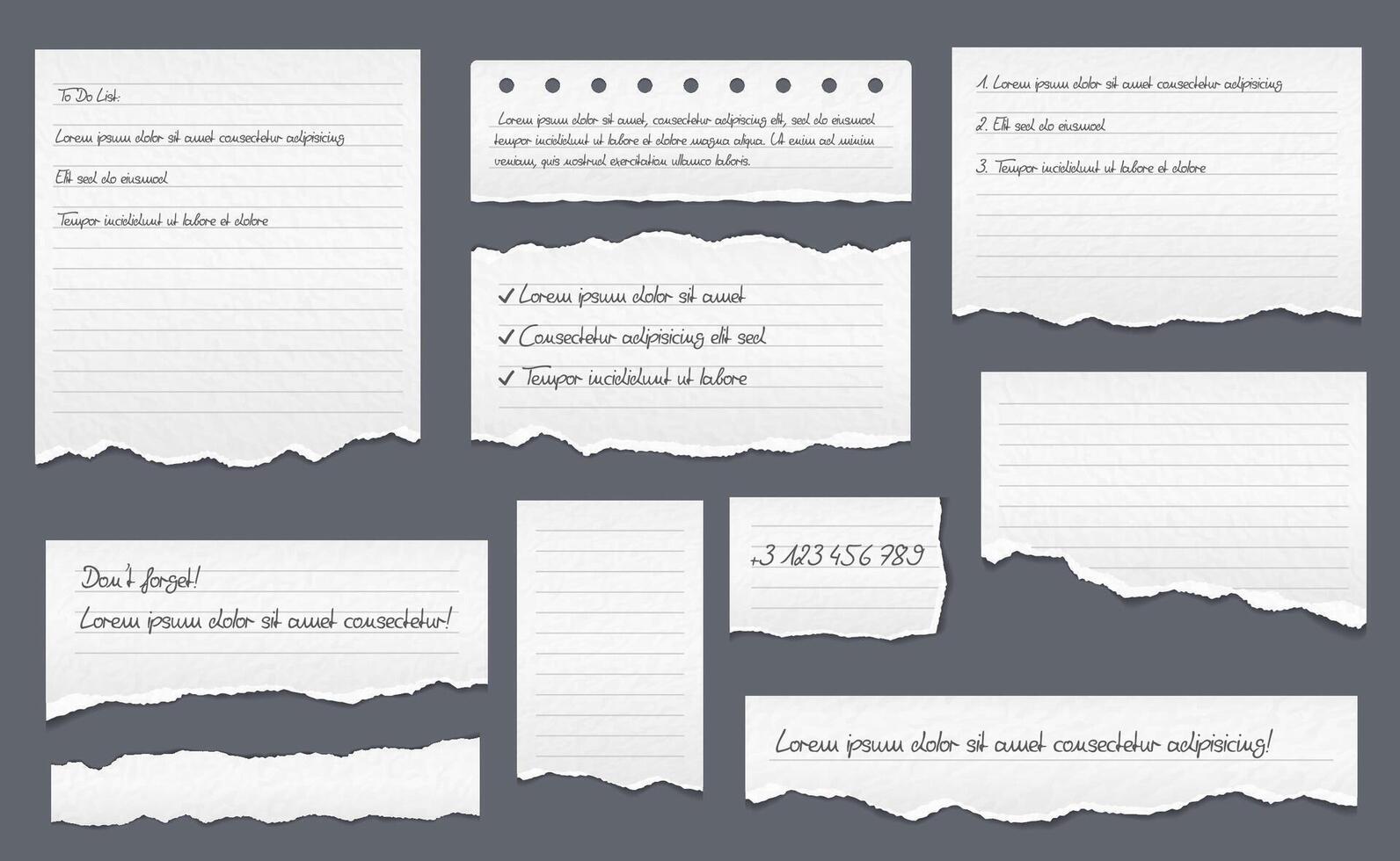 Torn Lined Paper vector