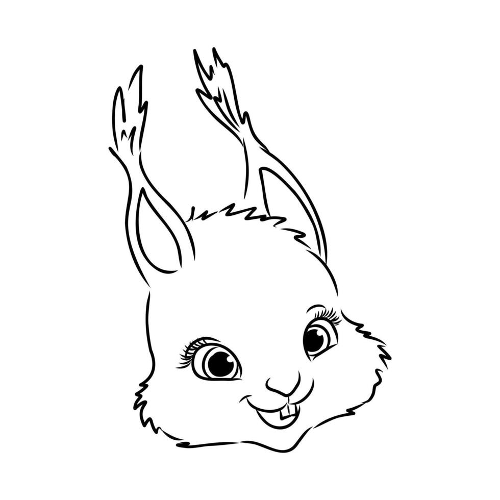 cartoon squirrel sketch vector