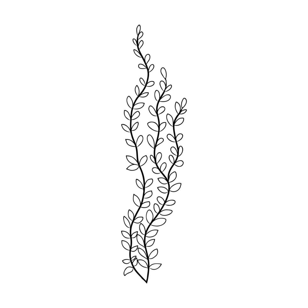 cartoon algae sketch vector