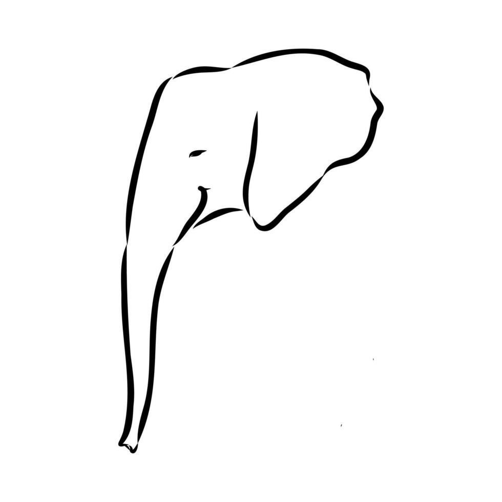 African elephant sketch vector