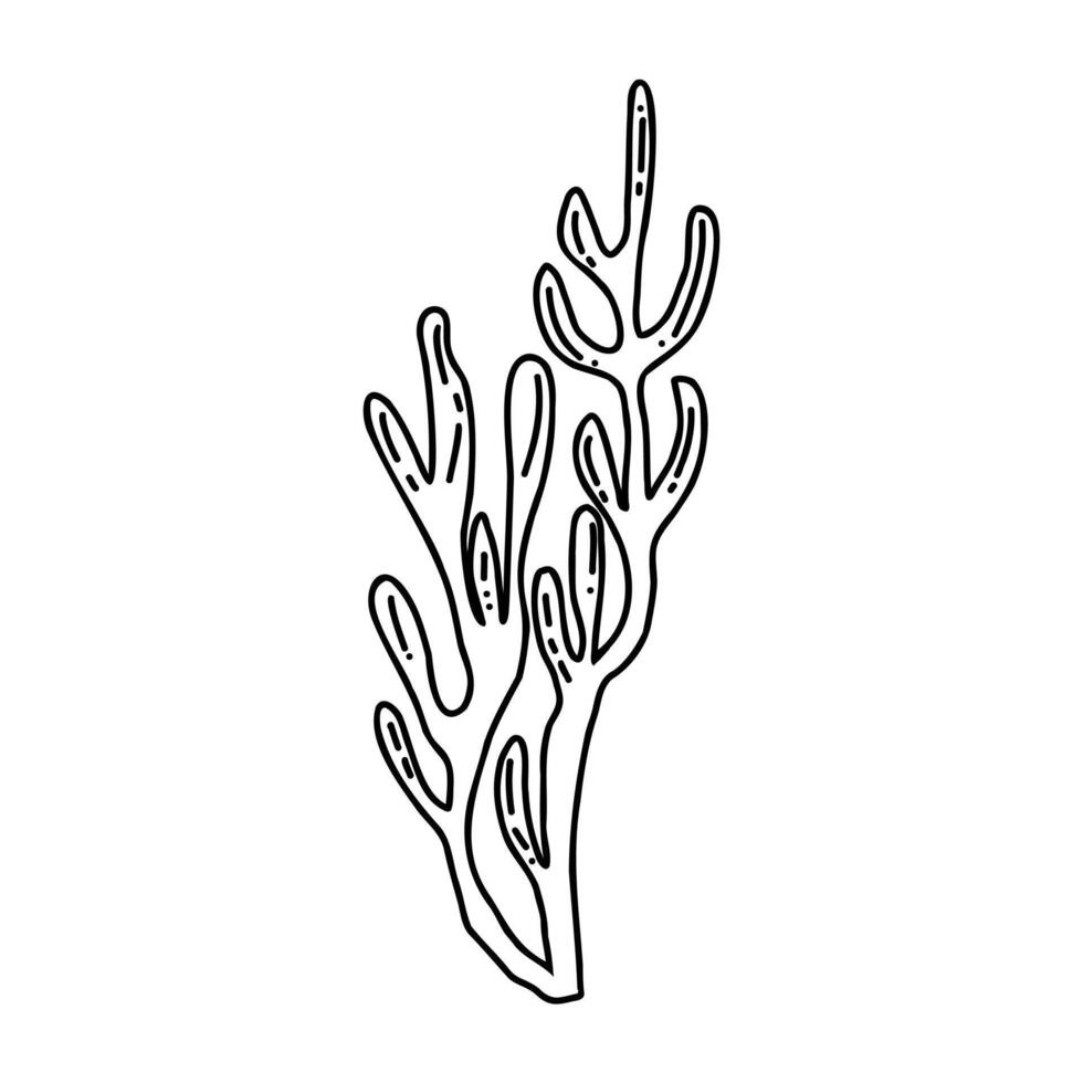 cartoon algae sketch vector