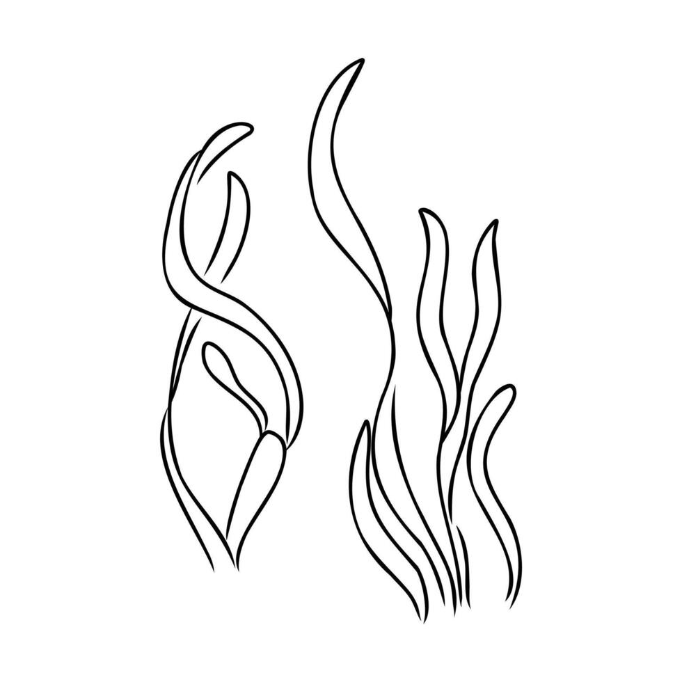 cartoon algae sketch vector