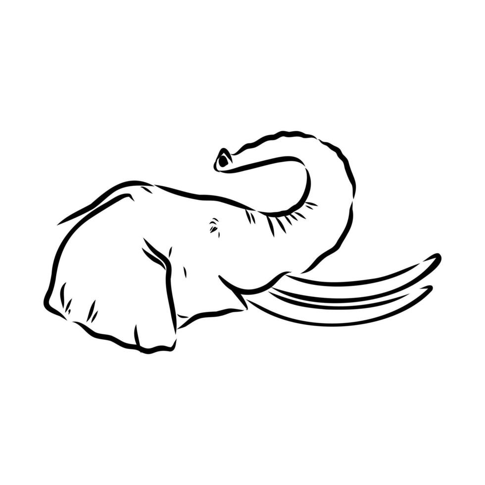 African elephant sketch vector