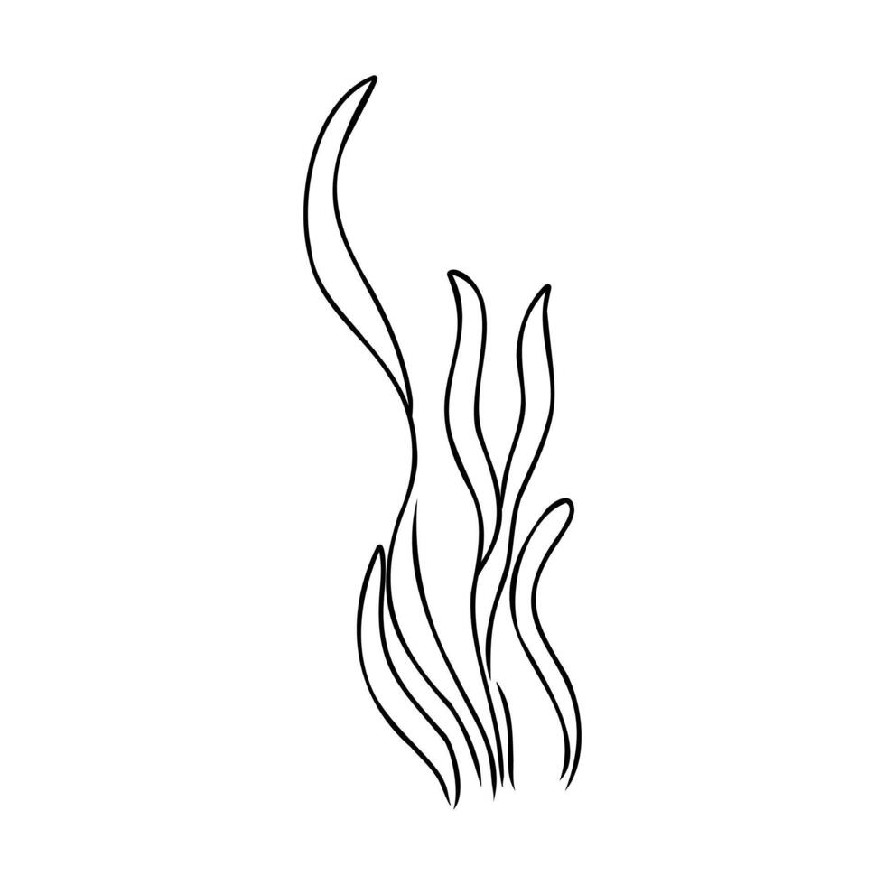 cartoon algae sketch vector