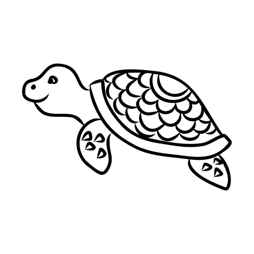 cartoon sea turtle sketch vector