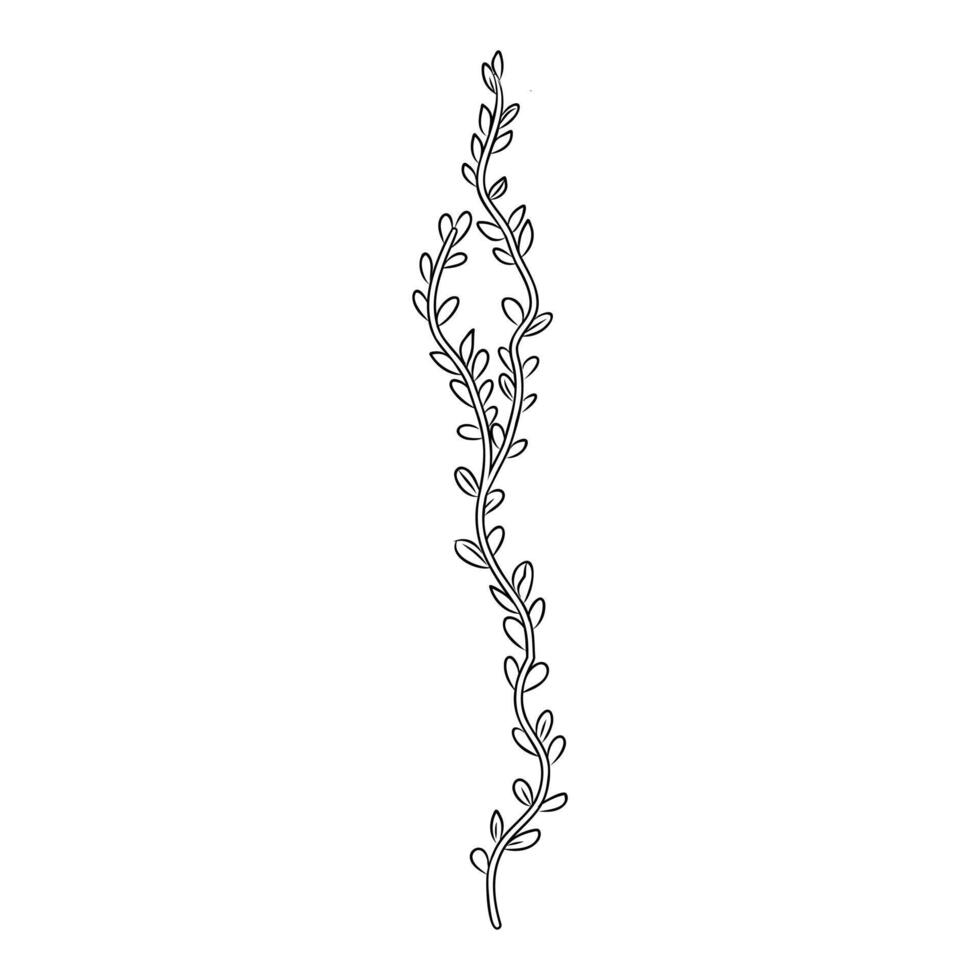 cartoon algae sketch vector
