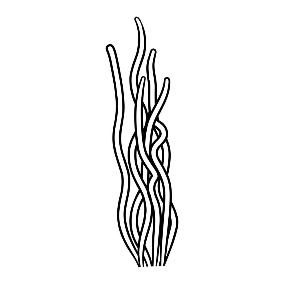 cartoon algae sketch vector