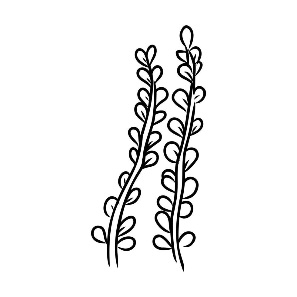 cartoon algae sketch vector