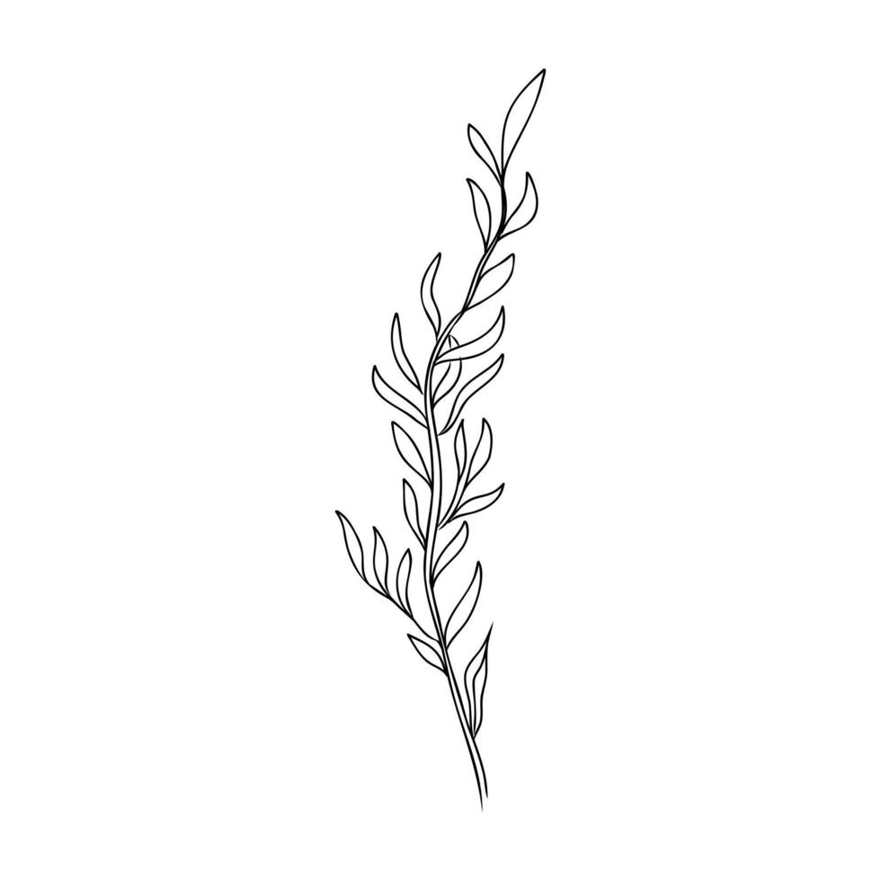 cartoon algae sketch vector