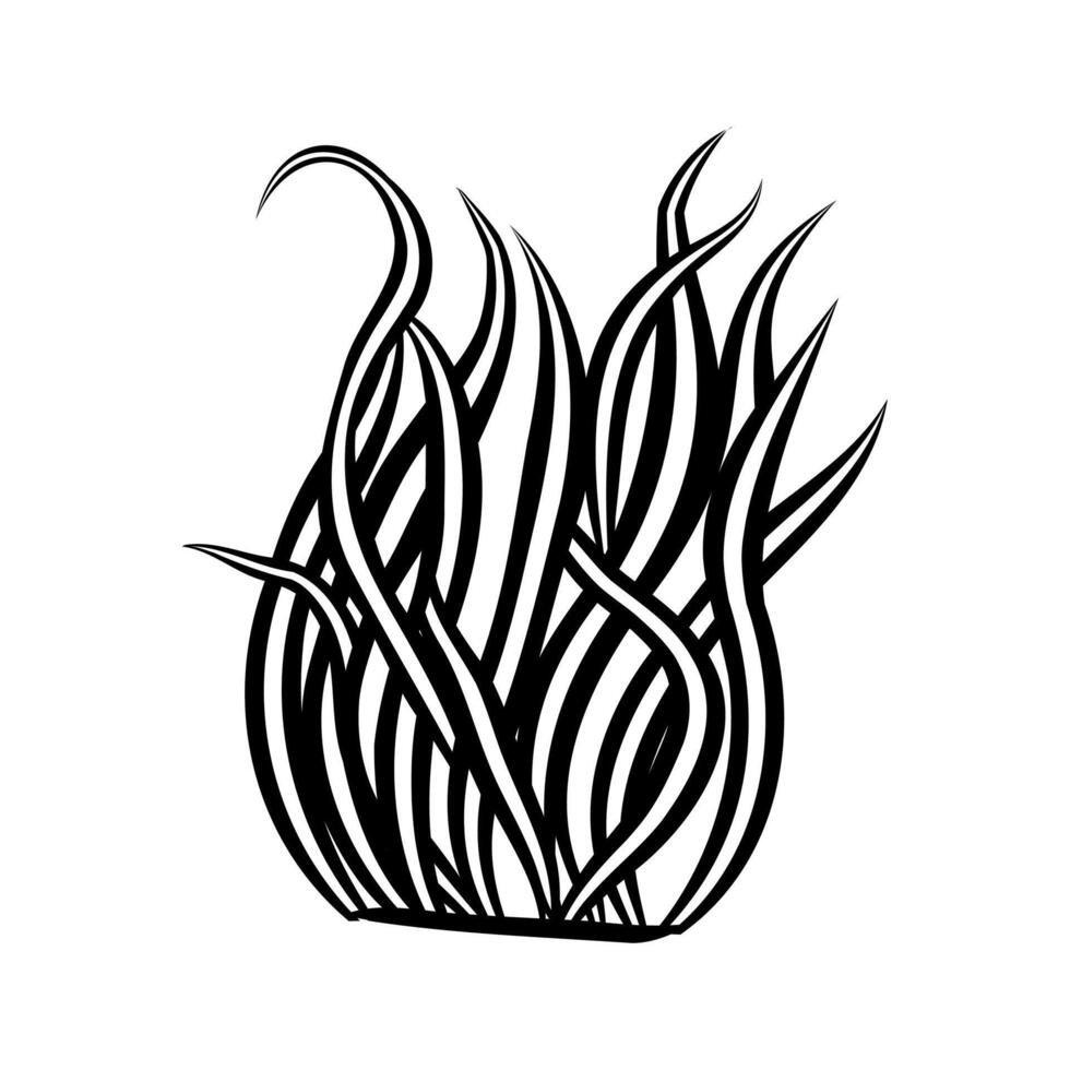 cartoon algae sketch vector