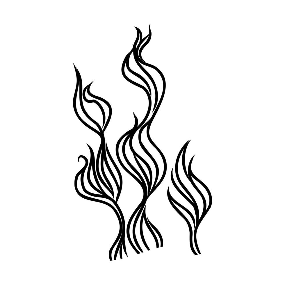 cartoon algae sketch vector
