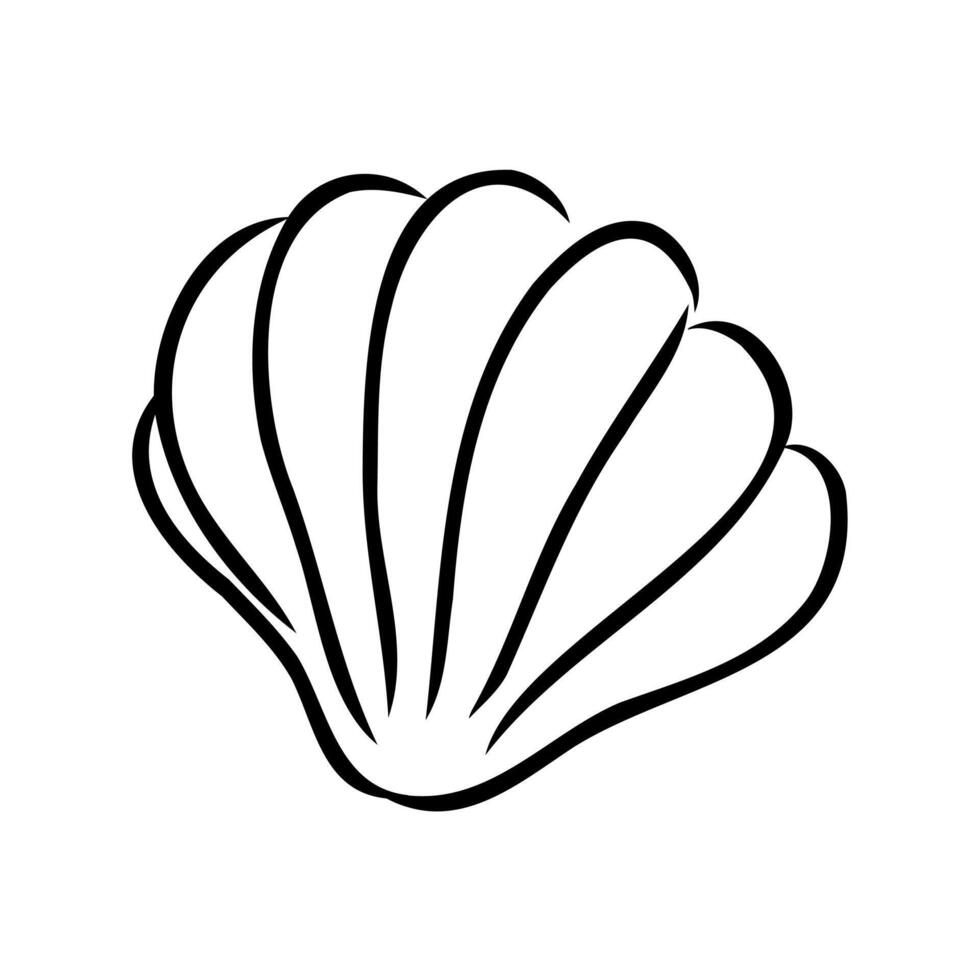 cartoon seashell sketch vector