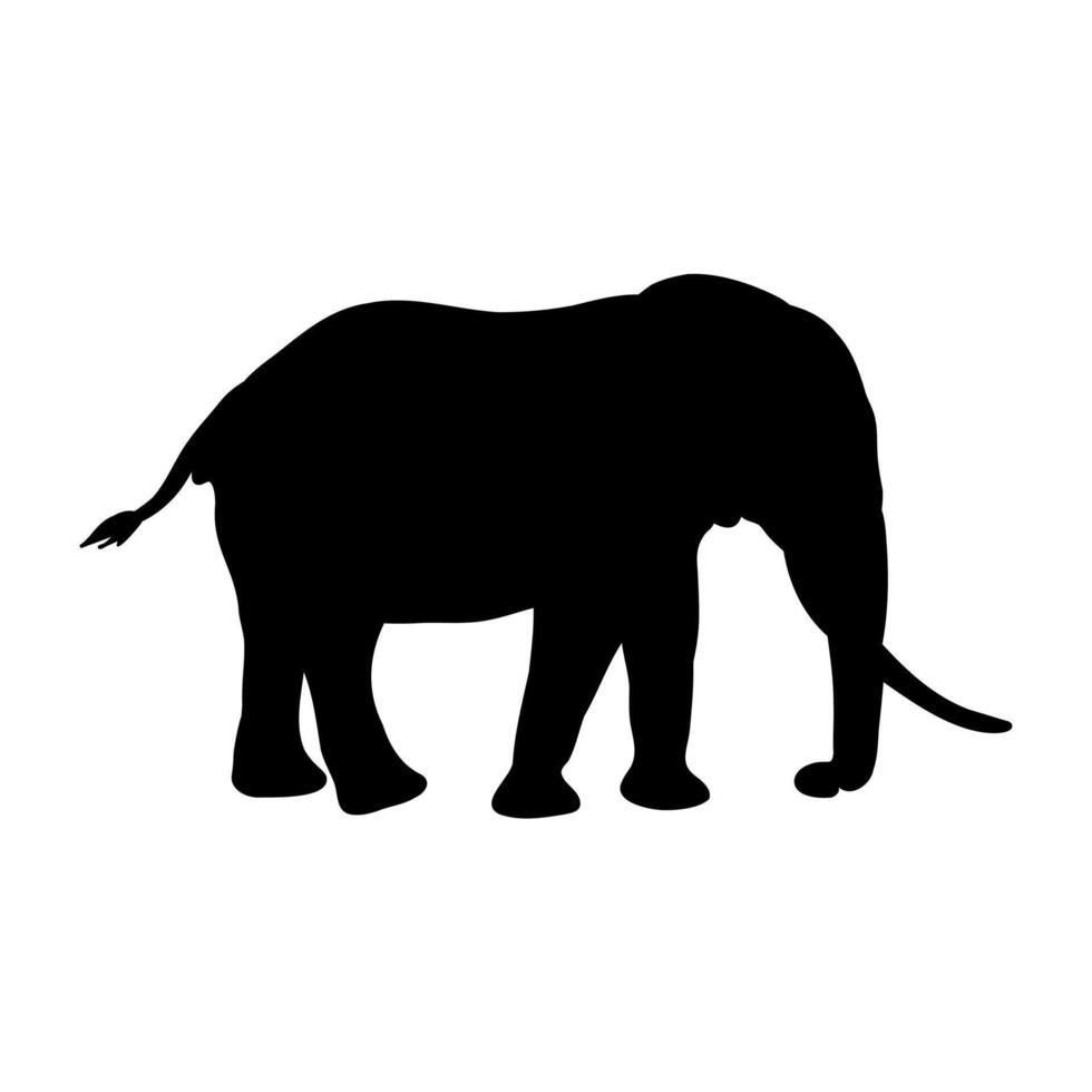 African elephant sketch vector