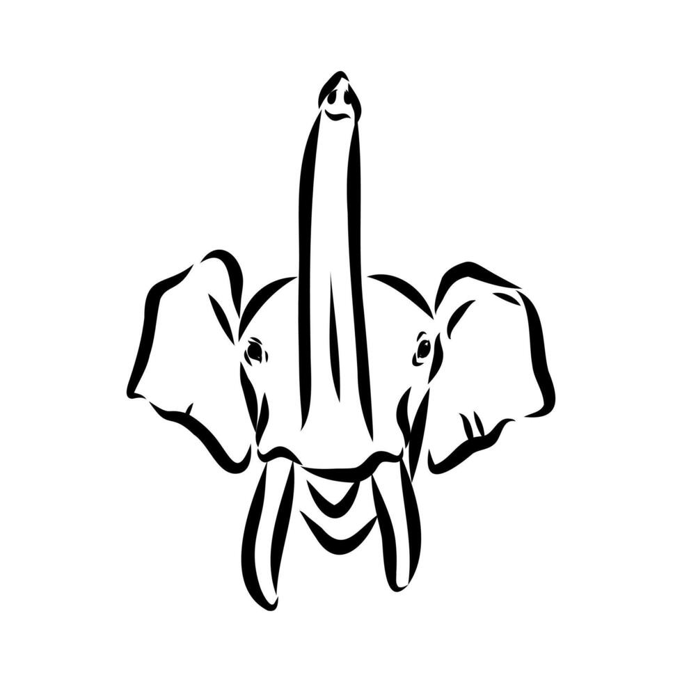 African elephant sketch vector